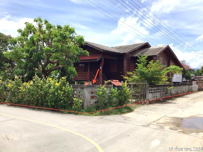 02 บ้านเดี่ยว | เชียงราย แม่สรวย ป่าแดด | 02-88-17676