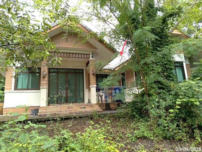 02 บ้านเดี่ยว | นครราชสีมา พระทองคำ พังเทียม | 02-88-17736