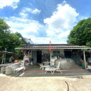 02 บ้านเดี่ยว | ชลบุรี พนัสนิคม บ้านช้าง | 02-88-17728