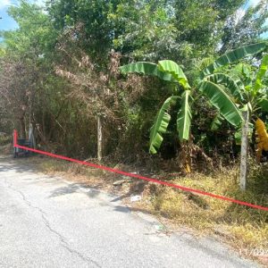 01 ที่ดินว่างเปล่า | ปทุมธานี หนองเสือ บึงบอน | 01-88-12540