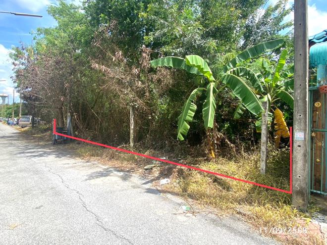 Real Estate from Banks _photo