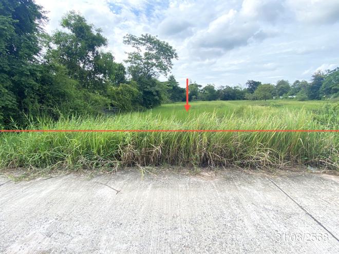 Real Estate from Banks _photo