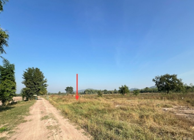 Real Estate from Banks _photo