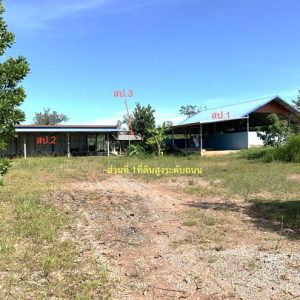 12 โกดัง | นครพนม เมืองนครพนม บ้านผึ้ง | 12-88-01279