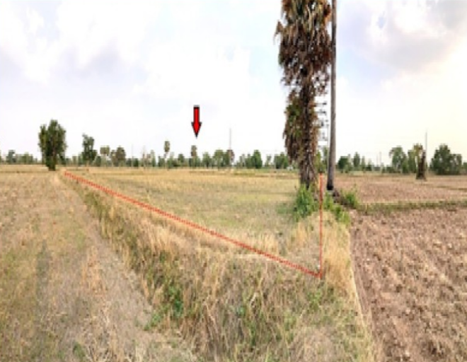 Real Estate from Banks _photo