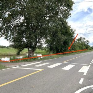01 ที่ดินว่างเปล่า | สระแก้ว อรัญประเทศ บ้านด่าน | 01-88-12485