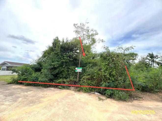 Real Estate from Banks _photo