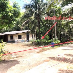 02 บ้านเดี่ยว | สุราษฎร์ธานี ชัยบุรี ชัยบุรี | 02-88-17243