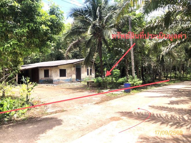 02 บ้านเดี่ยว | สุราษฎร์ธานี ชัยบุรี ชัยบุรี | 02-88-17243