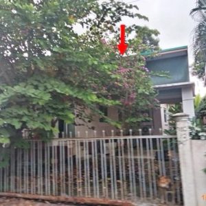 02 บ้านเดี่ยว | บุรีรัมย์ เมืองบุรีรัมย์ บ้านยาง | 02-88-17705