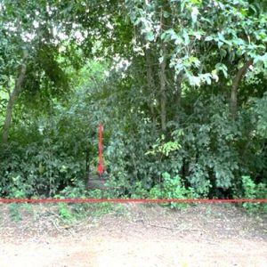 01 ที่ดินว่างเปล่า | ขอนแก่น พระยืน ขามป้อม | 01-88-12619