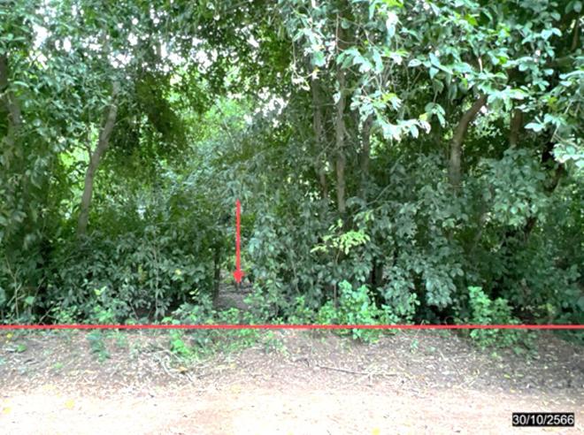 Real Estate from Banks _photo