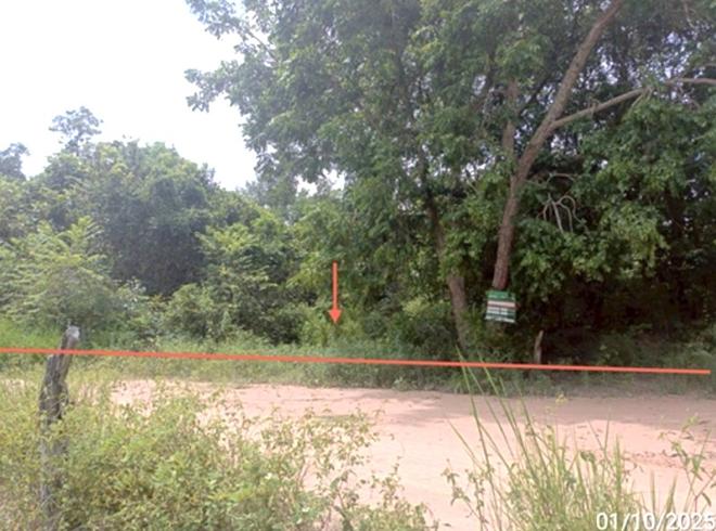 Real Estate from Banks _photo