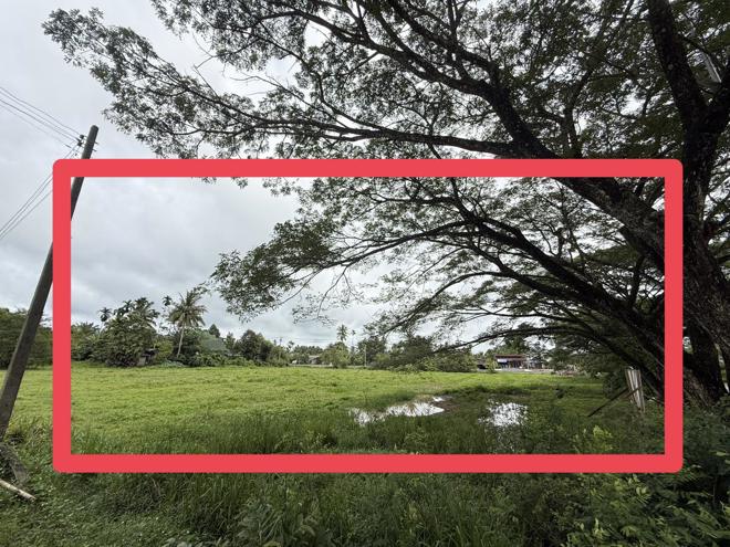 Real Estate from Banks _photo