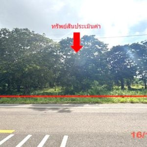 01 ที่ดินว่างเปล่า | สุราษฎร์ธานี เมืองสุราษฎร์ธานี คลองน้อย | 01-88-12620