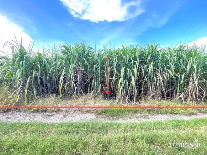 Real Estate from Banks _photo