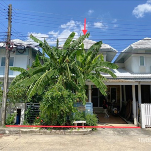 02 บ้านเดี่ยว | ปทุมธานี ธัญบุรี ประชาธิปัตย์ | 02-88-18103
