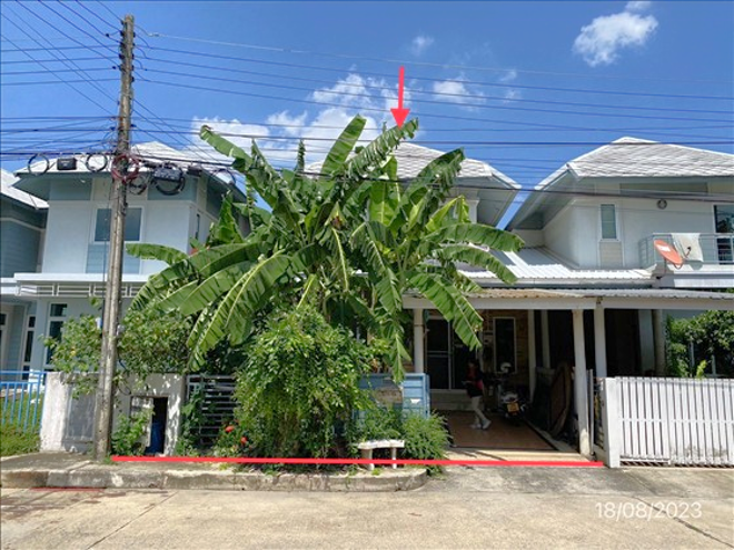 02 บ้านเดี่ยว | ปทุมธานี ธัญบุรี ประชาธิปัตย์ | 02-88-18103