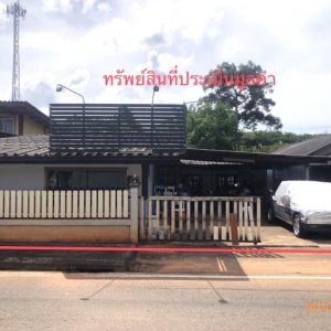 02 บ้านเดี่ยว | สุราษฎร์ธานี เมืองสุราษฎร์ธานี วัดประดู่ | 02-88-17589