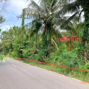 01 ที่ดินว่างเปล่า | สุราษฎร์ธานี ดอนสัก ดอนสัก | 01-88-12531