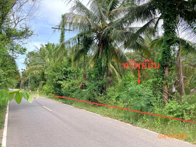 Real Estate from Banks _photo