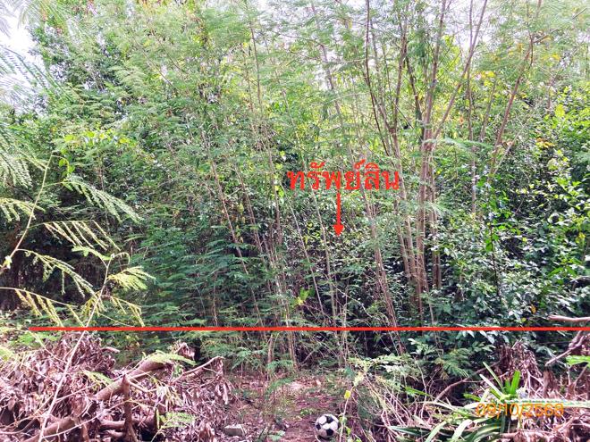 Real Estate from Banks _photo