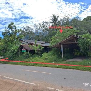 02 บ้านเดี่ยว | พัทลุง ป่าบอน วังใหม่ | 02-88-17740