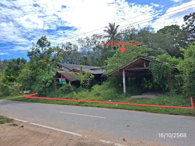 02 บ้านเดี่ยว | พัทลุง ป่าบอน วังใหม่ | 02-88-17740