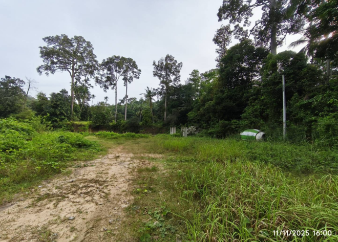 Real Estate from Banks _photo