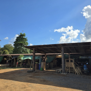 26 เพิงอเนกประสงค์ | แพร่ สูงเม่น พระหลวง | 26-66-00243