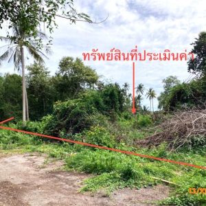 01 ที่ดินว่างเปล่า | สุราษฎร์ธานี ดอนสัก ดอนสัก | 01-88-12524