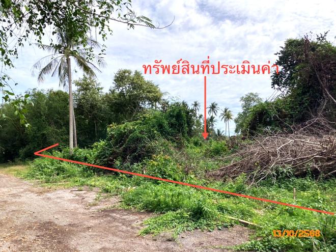 Real Estate from Banks _photo