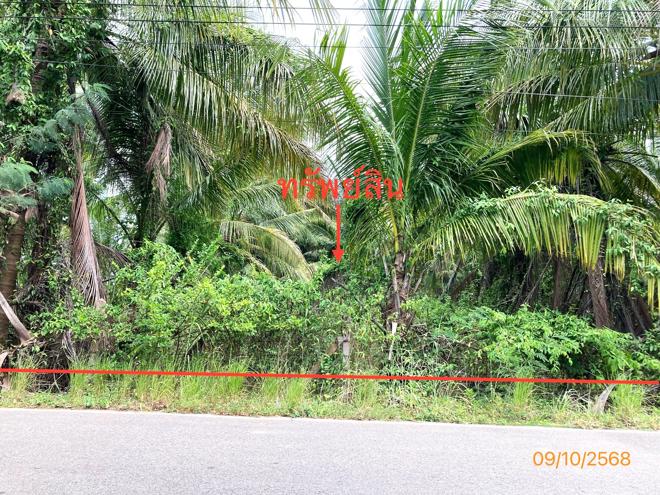 Real Estate from Banks _photo