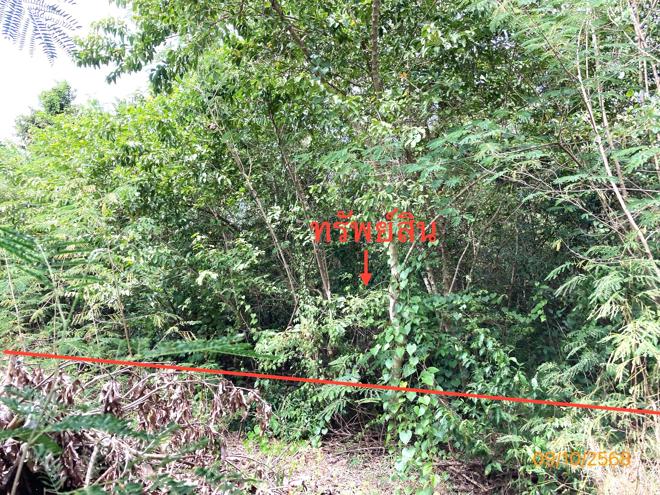 Real Estate from Banks _photo