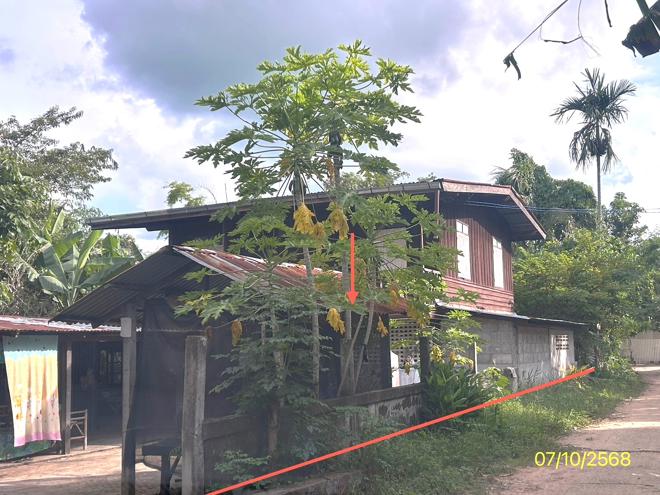 02 บ้านเดี่ยว | ศรีสะเกษ โพธิ์ศรีสุวรรณ ผือใหญ่ | 02-88-17788