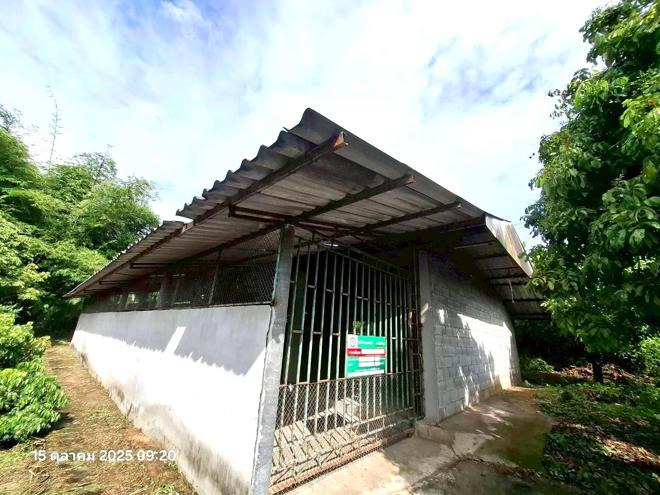 26 เพิงอเนกประสงค์ | เชียงใหม่ จอมทอง ข่วงเปา | 26-88-00185