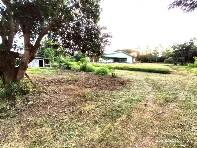 09 อาคารโรงงาน | ตาก สามเงา ย่านรี | 09-88-00890