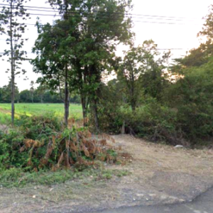 01 ที่ดินว่างเปล่า | สุรินทร์ ปราสาท หนองใหญ่ | 01-66-02341