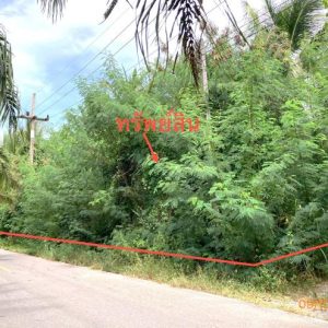 01 ที่ดินว่างเปล่า | สุราษฎร์ธานี ดอนสัก ดอนสัก | 01-88-12522