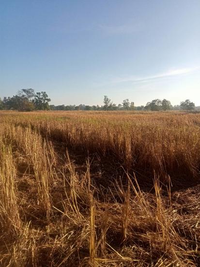 Real Estate from Banks _photo