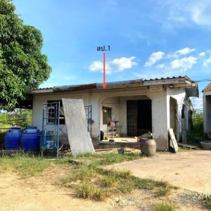 02 บ้านเดี่ยว | ชลบุรี บ้านบึง หนองอิรุณ | 02-88-17782