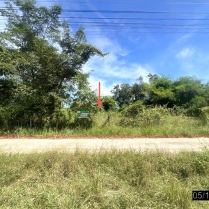 01 ที่ดินว่างเปล่า | อุบลราชธานี เมืองอุบลราชธานี ขามใหญ่ | 01-88-12602