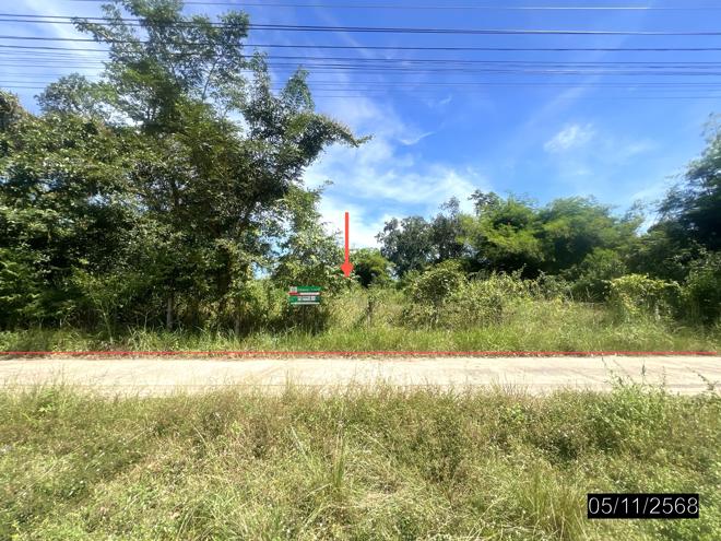 Real Estate from Banks _photo