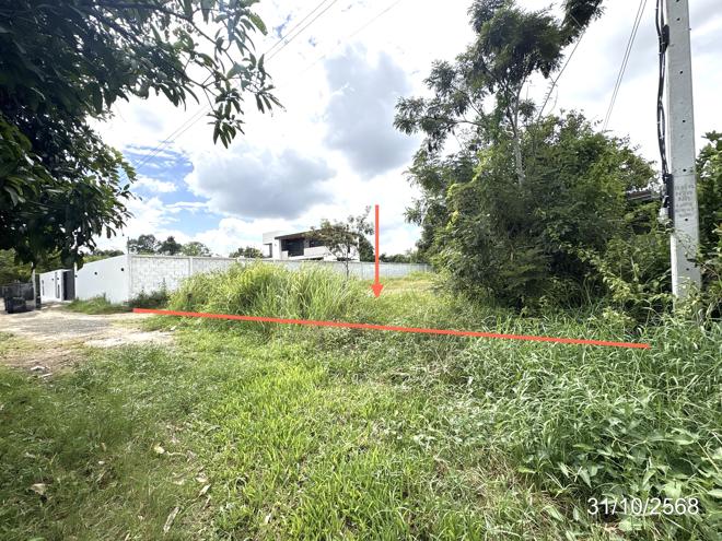 Real Estate from Banks _photo