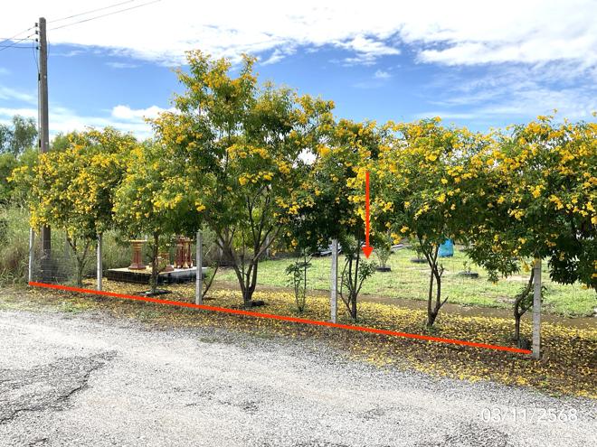 Real Estate from Banks _photo