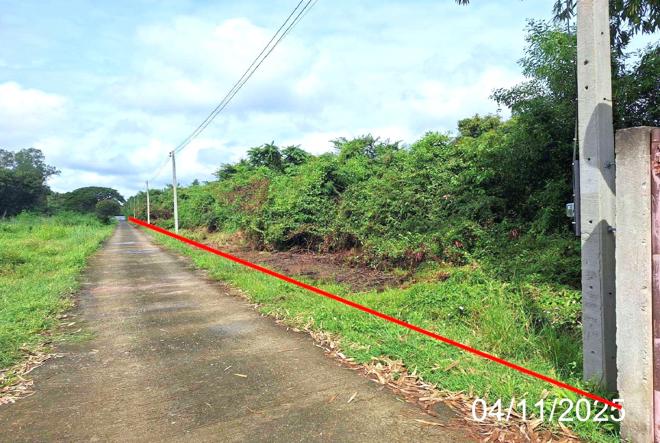 Real Estate from Banks _photo