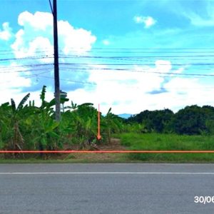 01 ที่ดินว่างเปล่า | เชียงราย ขุนตาล ป่าตาล | 01-88-12627