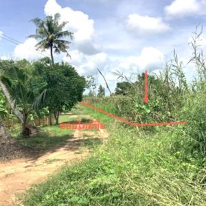 01 ที่ดินว่างเปล่า | นครสวรรค์ เมืองนครสวรรค์ นครสวรรค์ตก | 01-88-12628