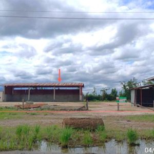 12 โกดัง | เพชรบูรณ์ วิเชียรบุรี บ่อรัง | 12-88-01271