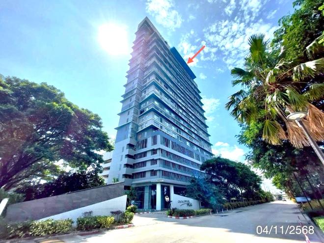 05 คอนโดมิเนียม | ชลบุรี เมืองชลบุรี เสม็ด | 05-88-03526